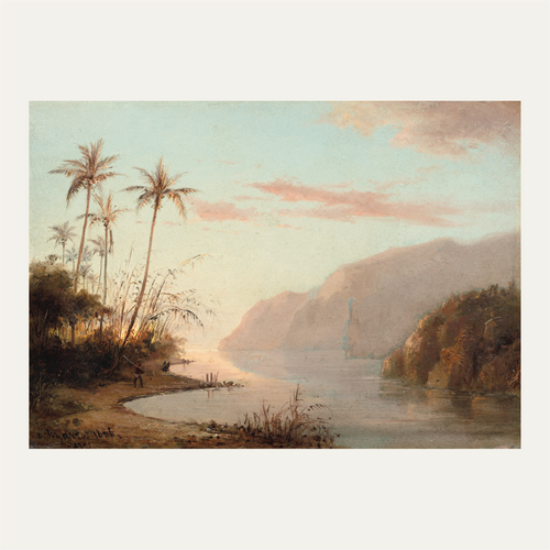 A Creek in St. Thomas (Virgin Islands)