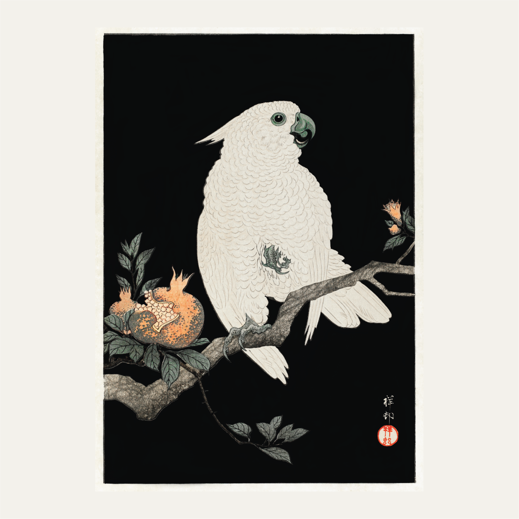 Cockatoo with pomegranate