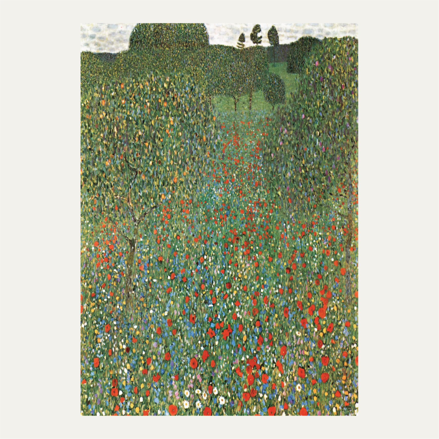 Mohnfeld