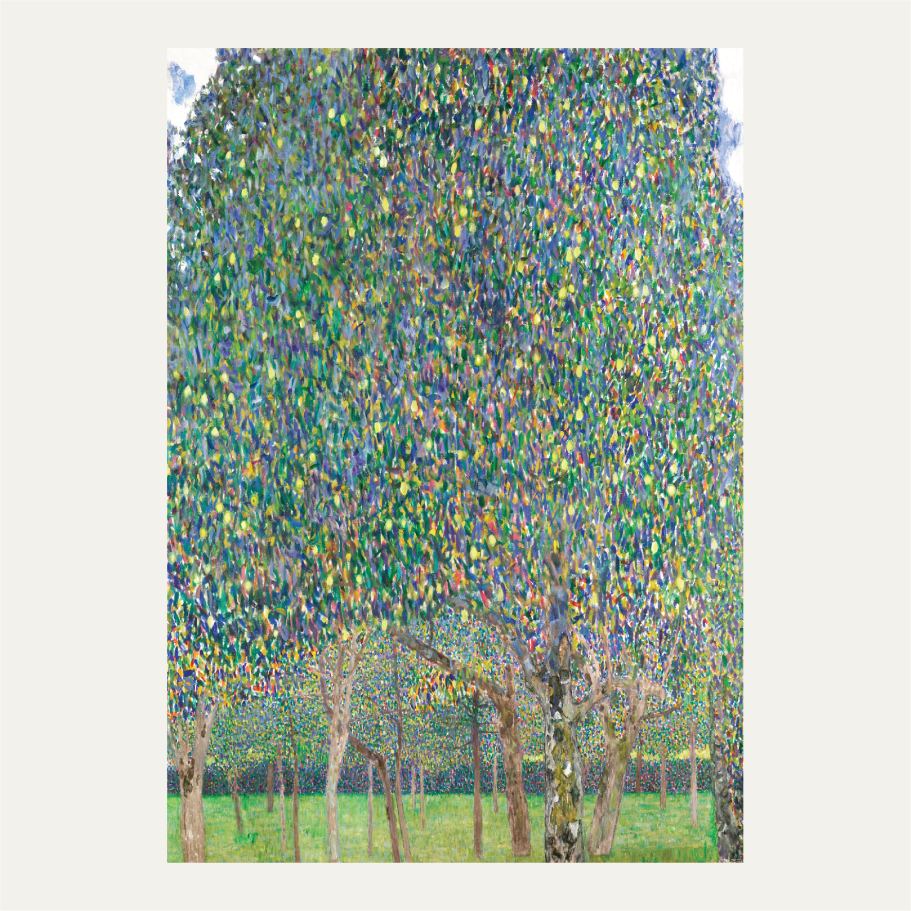 Pear Tree