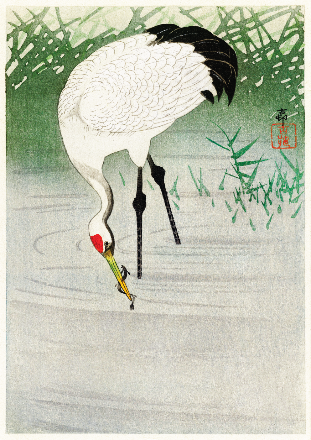 Fishing crane in shallow water
